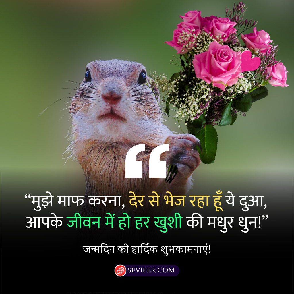 Sorry for Late Wishes in Hindi