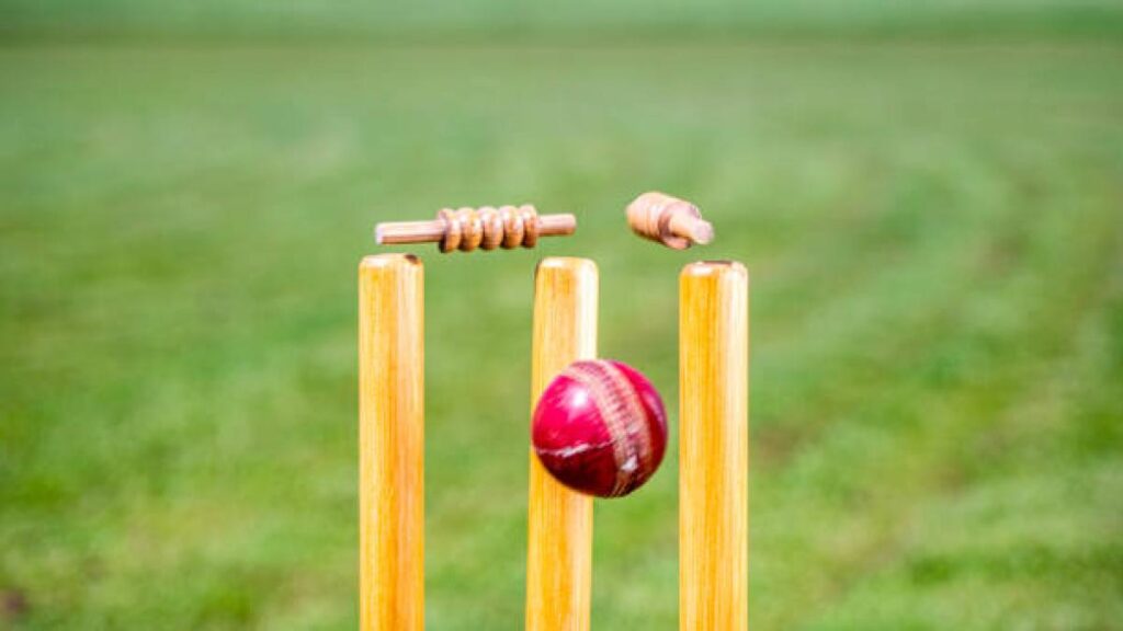 Origin and Evolution of Cricket Stumps