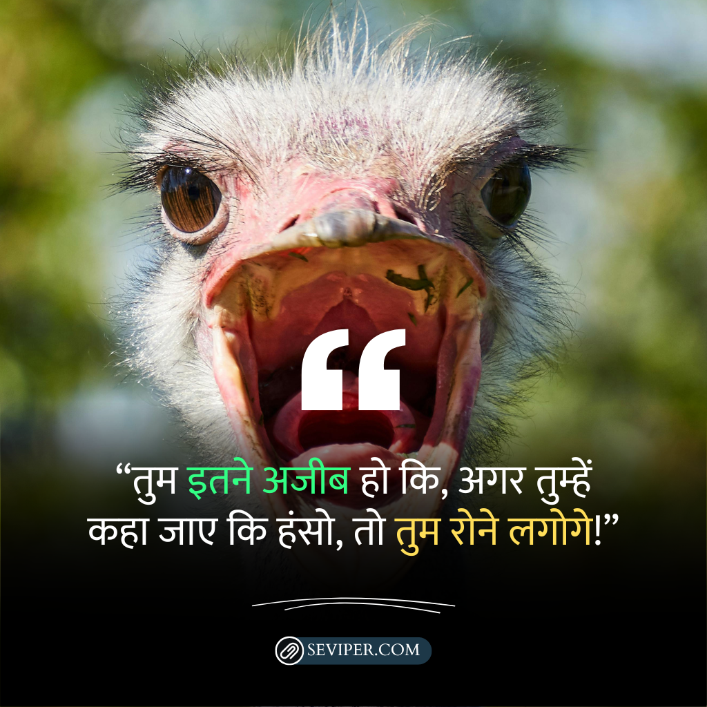 Funny Punch Lines For Friends In Hindi